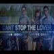 Can t Stop the Lover Single
