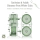 Dynamo EP