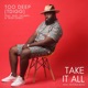 Take It All feat Nuel Triumph Trish Darko Single