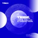 TRIBE Single