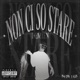 Non ci so stare Single