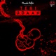 Teri Udaan Single