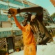 Jungle Single