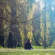 I don t know why I keep missing you Single