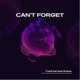 Can t Forget feat Gaute Ormåsen Single