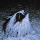 affection Single