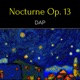 Nocturne Op 13