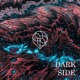 Dark Side Single