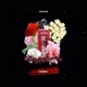 Disconnect feat Yana Single