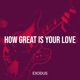 How Great Is Your Love Single