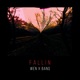 Fallin feat Banq Single