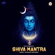 Shiva Mantra feat Devendra Kumar Patthar Single