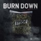 Burn Down feat Oliver Spitts Single