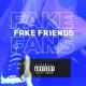 Fake Fans Fake Friends Single