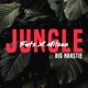 Jungle feat Imech Single