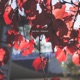Chapters EP