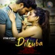 Dilruba 2 Single