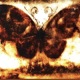 EMBER