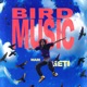 BIRD MUSIC