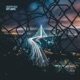 City Lights Single