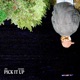 Pick it up feat Harry Broun Single