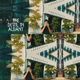 Devil In Albany Single