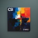 CSI Single