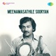 Meenamasathile Sooryan Original Motion Picture Soundtrack EP