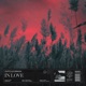 In Love Single