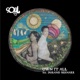 Own It All Single