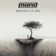 Meaning of Life Single