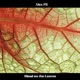 Blood On The Leaves Single