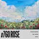 760Roses Single