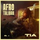Afro Taliban EP
