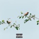 Birds feat DQ Rogers Single