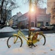 Bicycle ride Single