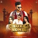 Chulla Nondh feat Nidhi Sharma Single