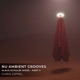 Nu Ambient Grooves Klaus Schulze Mixes Part II EP