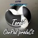 Toroid Single