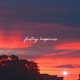 FLEETING HAPPINESS