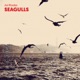 Seagulls Single