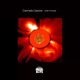 Solar Principle Single