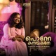 Ponne Kanimakane Single