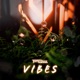 Vibes Single