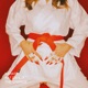 Karate Single