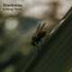 Killing Time Single