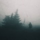 Pale Autumn Single
