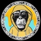 Donkey Kong Single