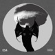 Dwtd Single