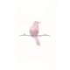 Her feat A l E x Single